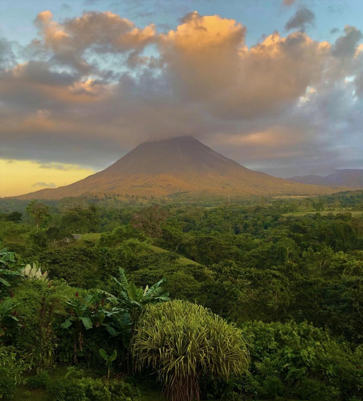 Lost Iguana Resort And Spa ラ・フォルトゥナ エクステリア 写真